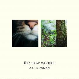 A.C. Newman / The Slow Wonder